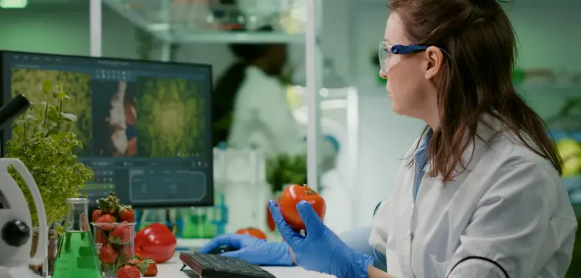 ISO 22000:2018 Gıda Güvenliği Yönetim Sistemi Belgesi